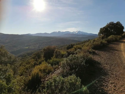 E-mountain bike circuit – Corbère Discovery - Perpignan Expériences