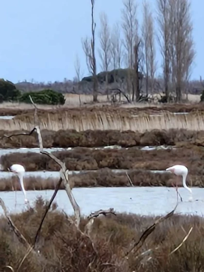 Des Corbières à la plaine du Roussillon Public - Perpignan Expériences