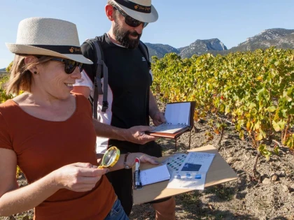 Vineyard Escape Game – 1 to 5 people - Perpignan Expériences