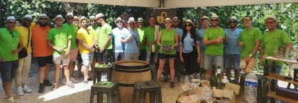 Vineyard Escape Game – 6 people and up - Perpignan Expériences