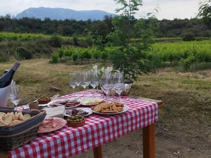 Winemaker for a Day in Saint-Paul-de-Fenouillet - Perpignan Expériences