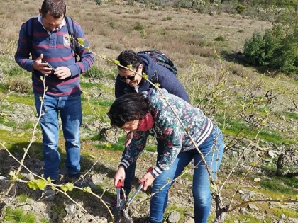 Winemaker for a Day in Saint-Paul-de-Fenouillet - Perpignan Expériences