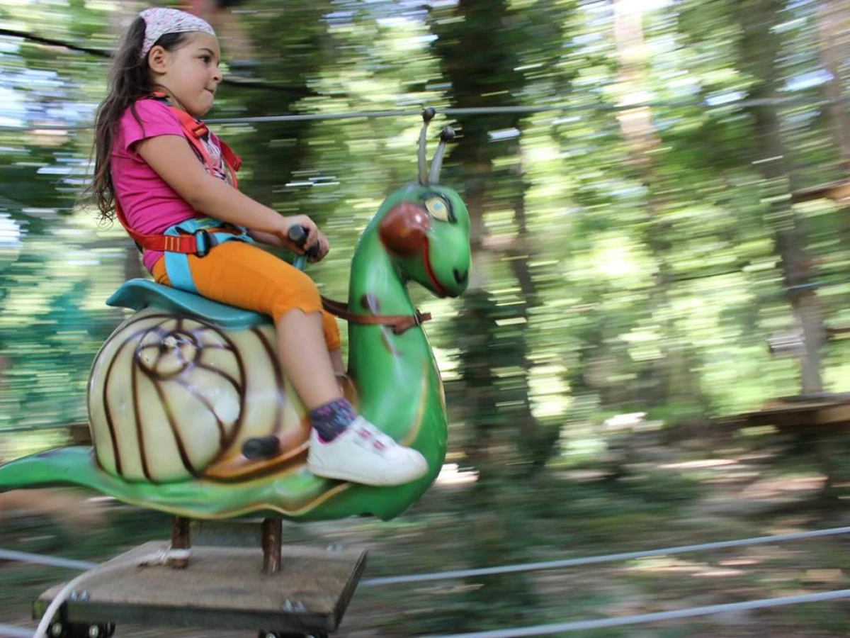 Treetop Adventure in Eus - Perpignan Expériences