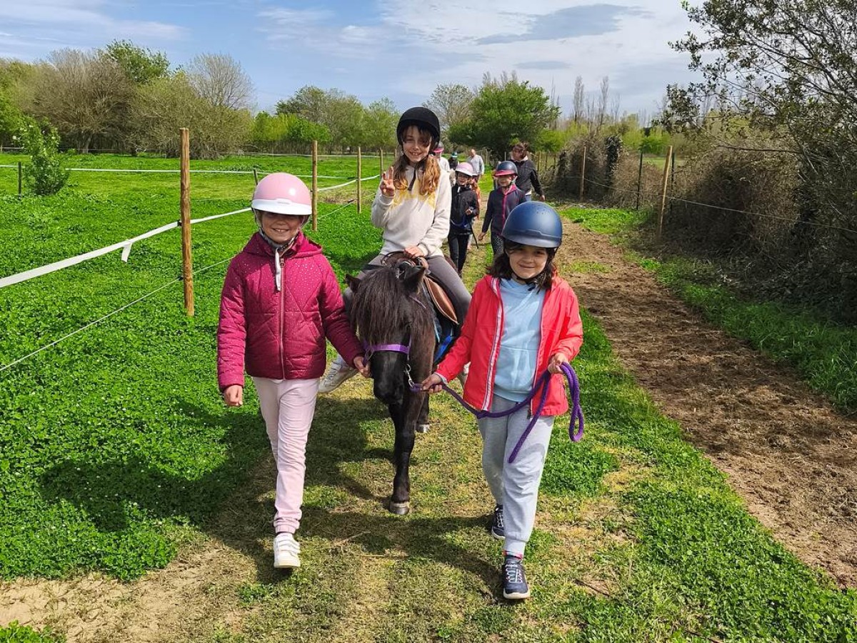  - Perpignan Expériences