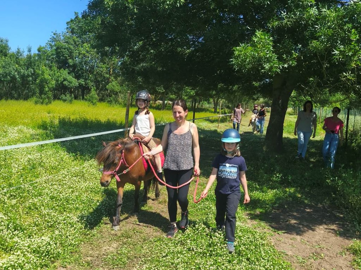  - Perpignan Expériences