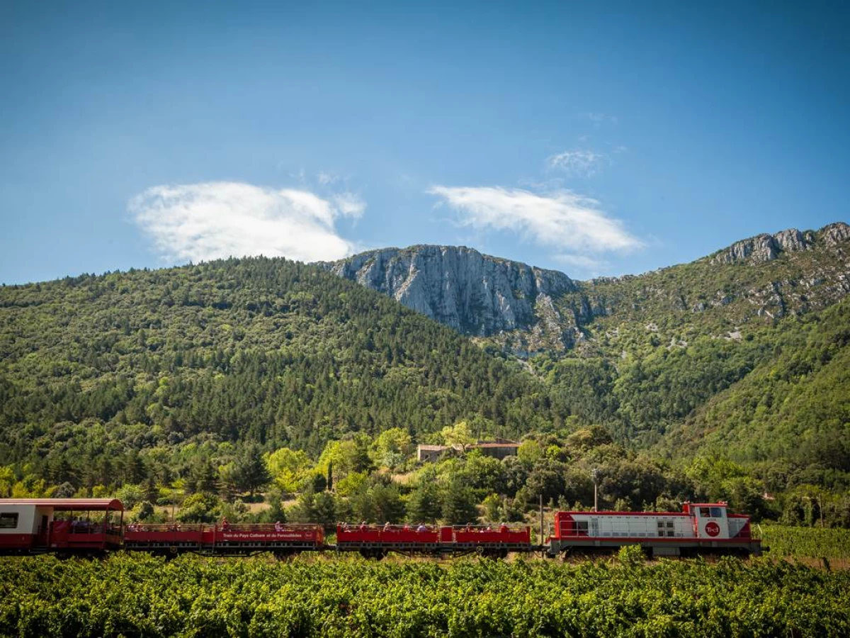 The Red Train – From Rivesaltes to Axat and the Aude Gorges - Perpignan Expériences