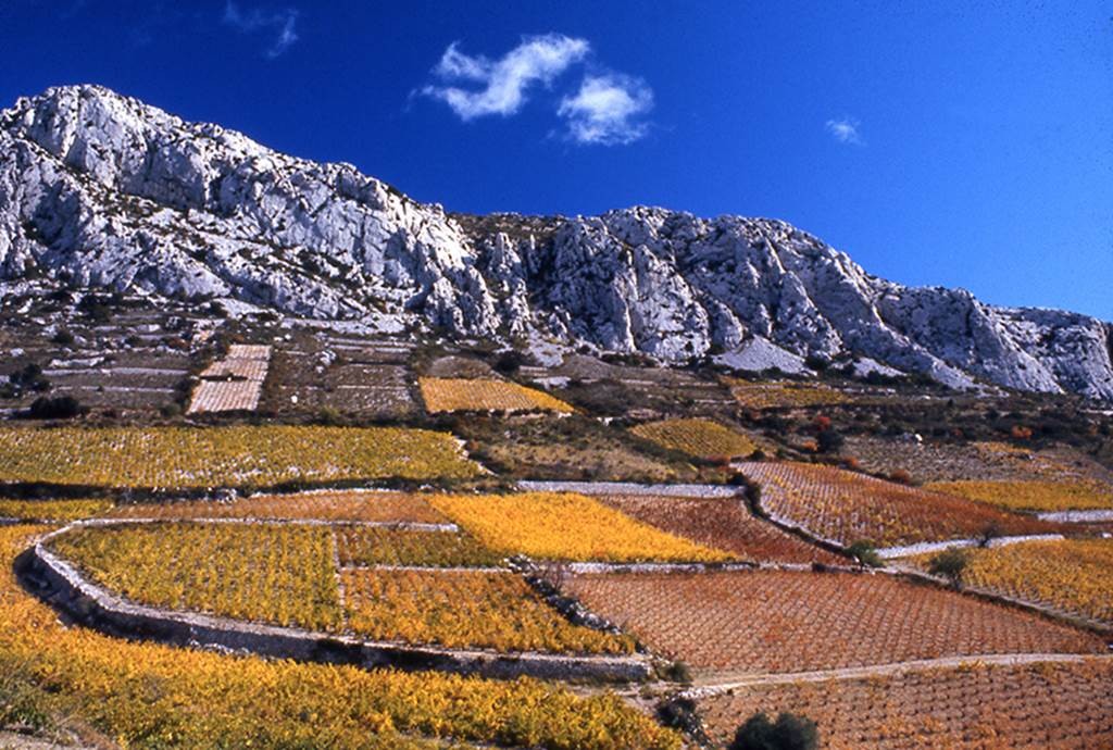 Circuit Culturel en 2 CV : Equipée - Perpignan Expériences