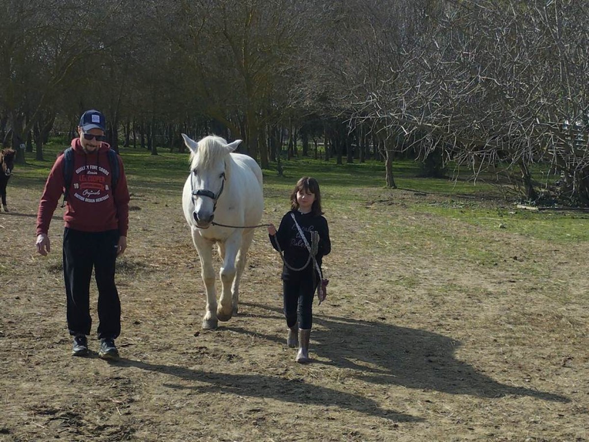  - Perpignan Expériences