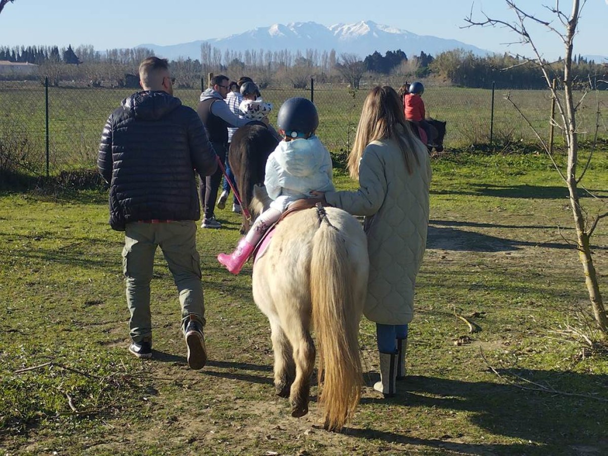  - Perpignan Expériences