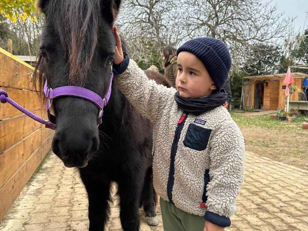  - Perpignan Expériences