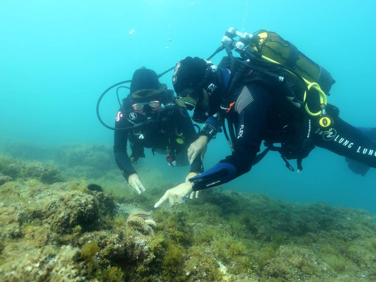  - Perpignan Expériences