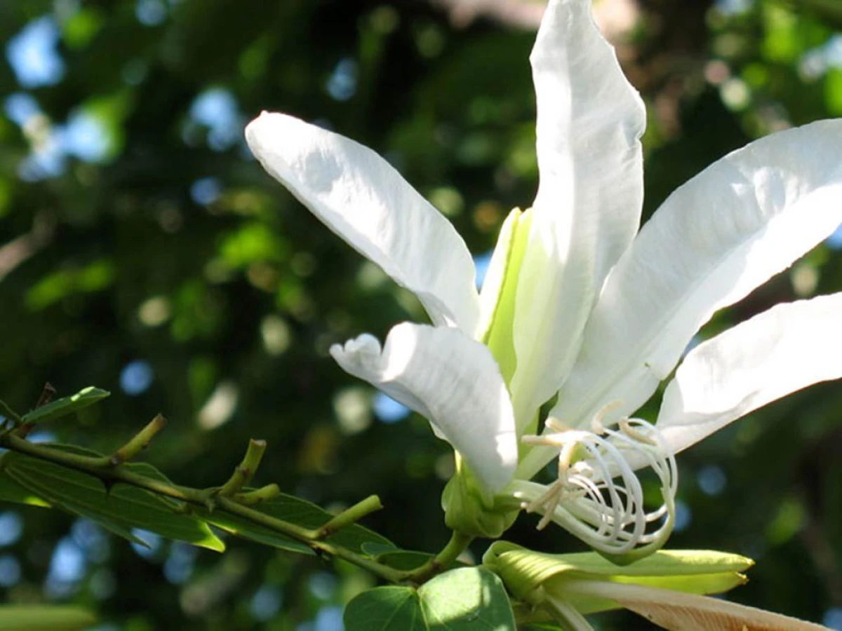 Billet d'entrée Adulte - Perpignan Expériences