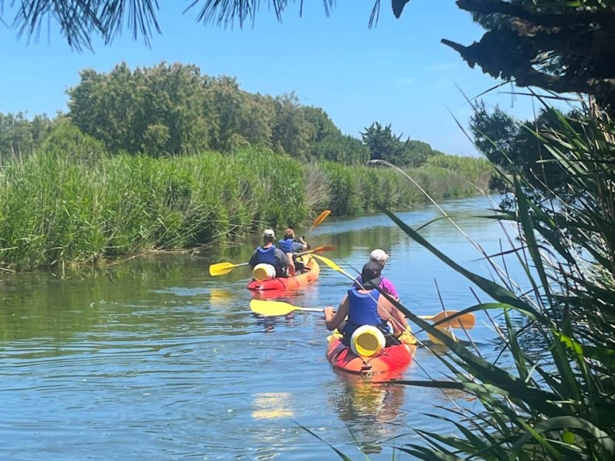 - Perpignan Expériences