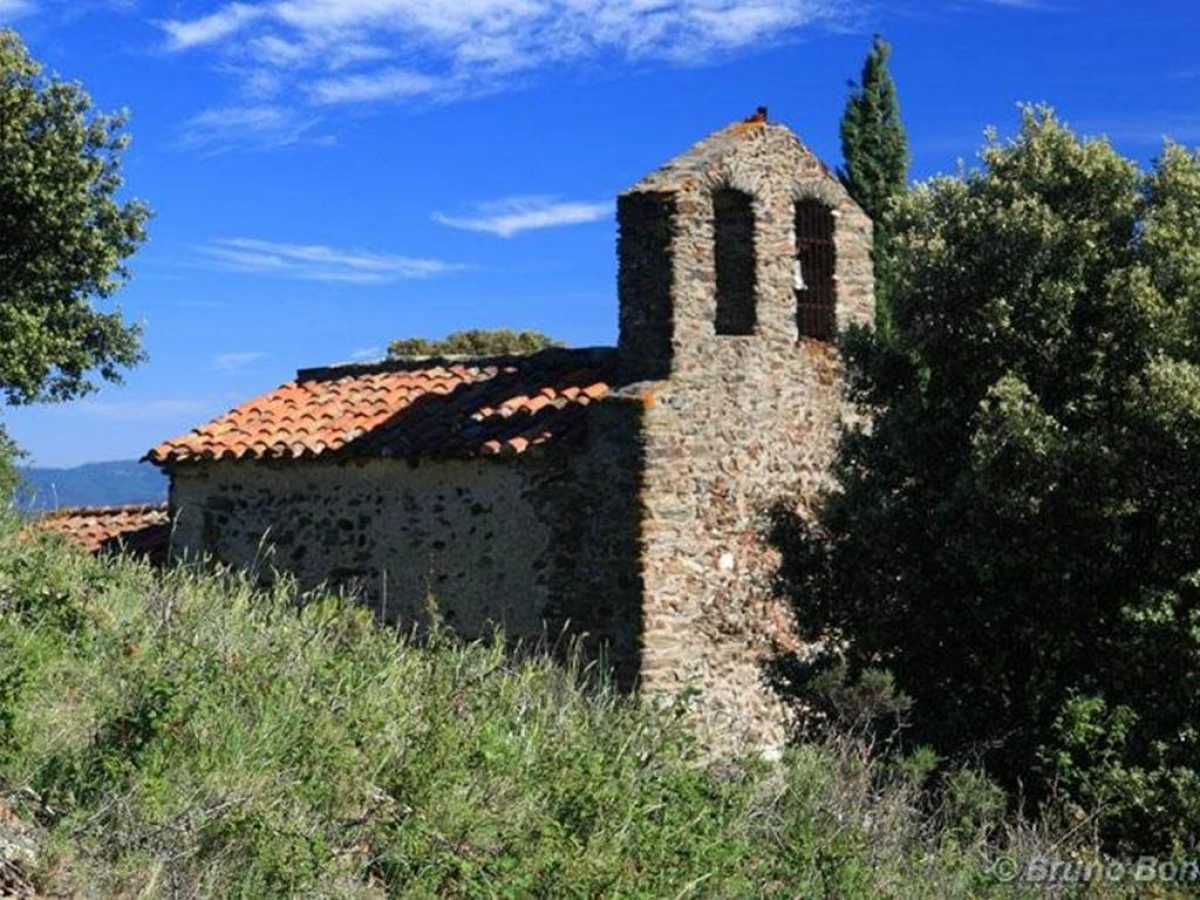 Circuit Culturel en 2 CV : Escampe - Perpignan Expériences