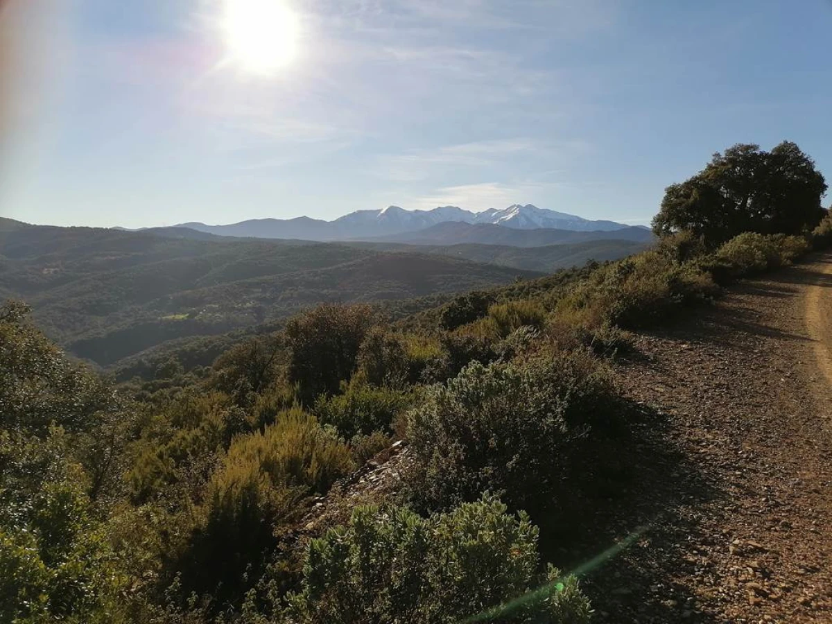 E-mountain bike circuit – Corbère Discovery - Perpignan Expériences