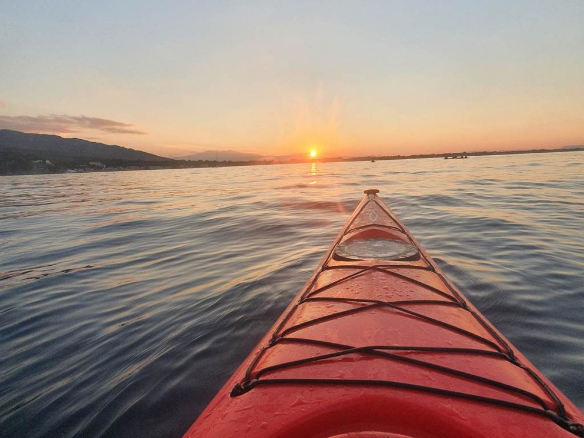  - Perpignan Expériences