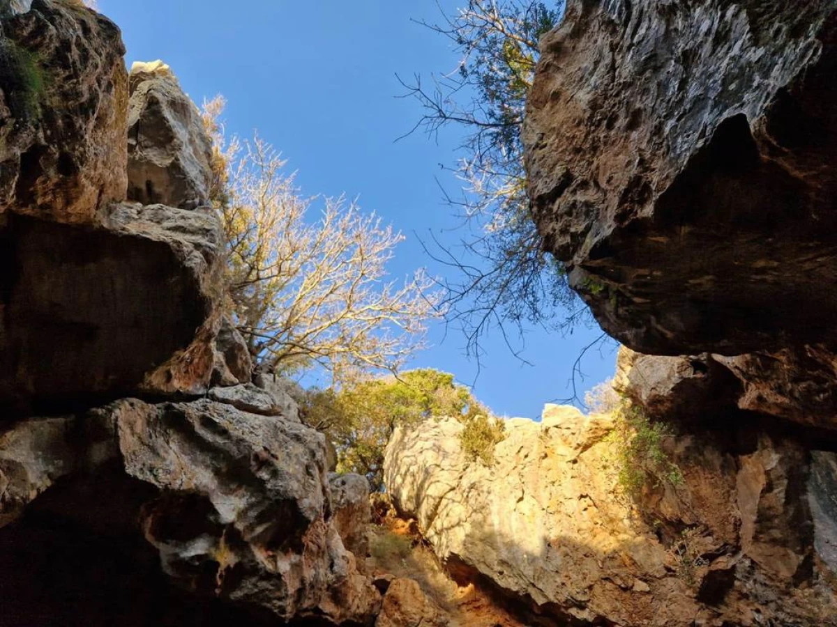 Des Corbières à la plaine du Roussillon Privatisé - Perpignan Expériences