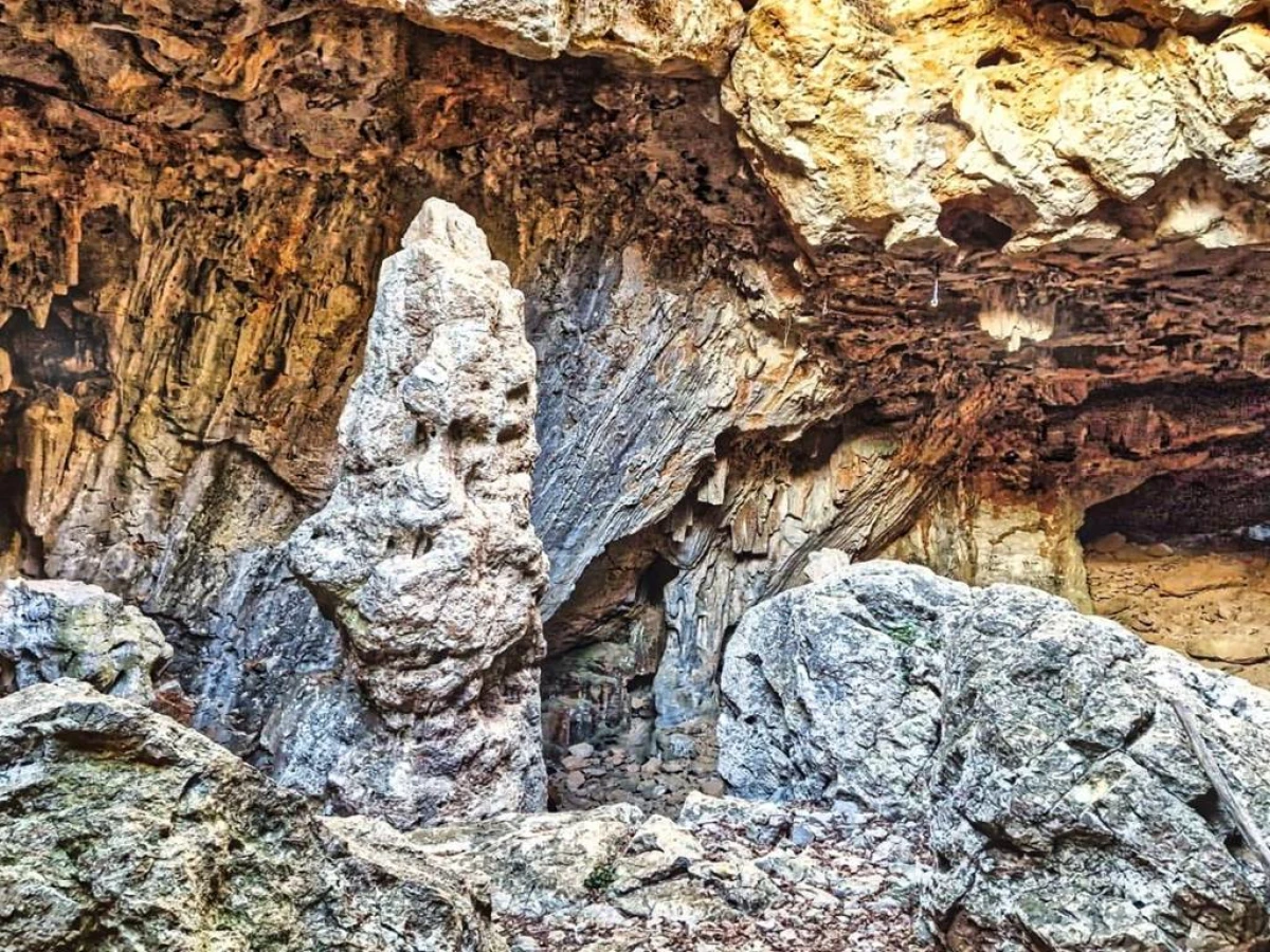 Des Corbières à la plaine du Roussillon Privatisé - Perpignan Expériences