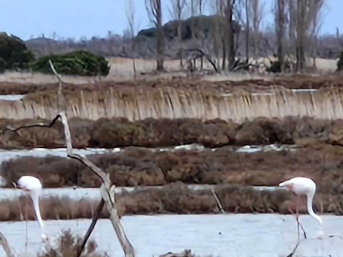 Des Corbières à la plaine du Roussillon Privatisé - Perpignan Expériences