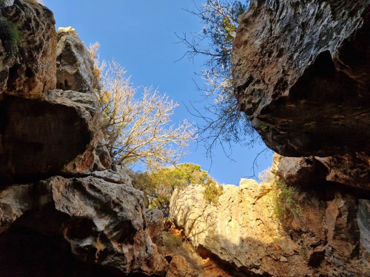Des Corbières à la plaine du Roussillon Public - Perpignan Expériences