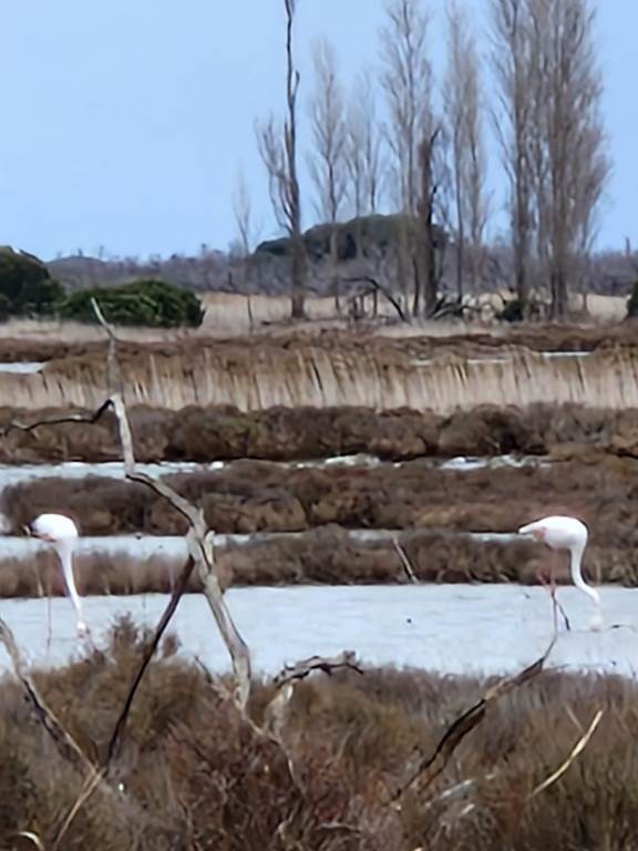 Des Corbières à la plaine du Roussillon Public - Perpignan Expériences