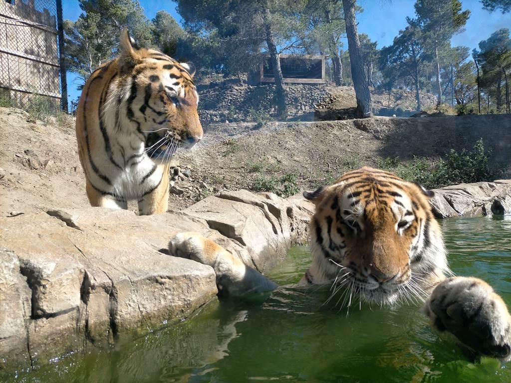 Visite de l ÉCOPARC animalier - Perpignan Expériences