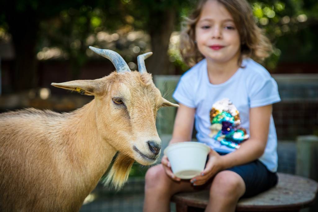 Visite de la ferme public specifique - Perpignan Expériences