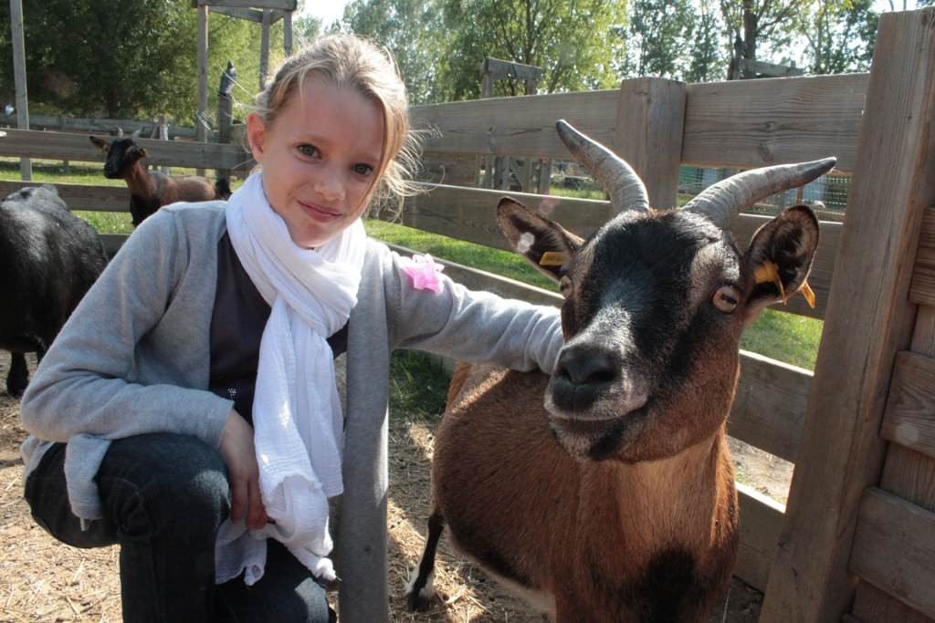 Visite de la ferme public specifique - Perpignan Expériences