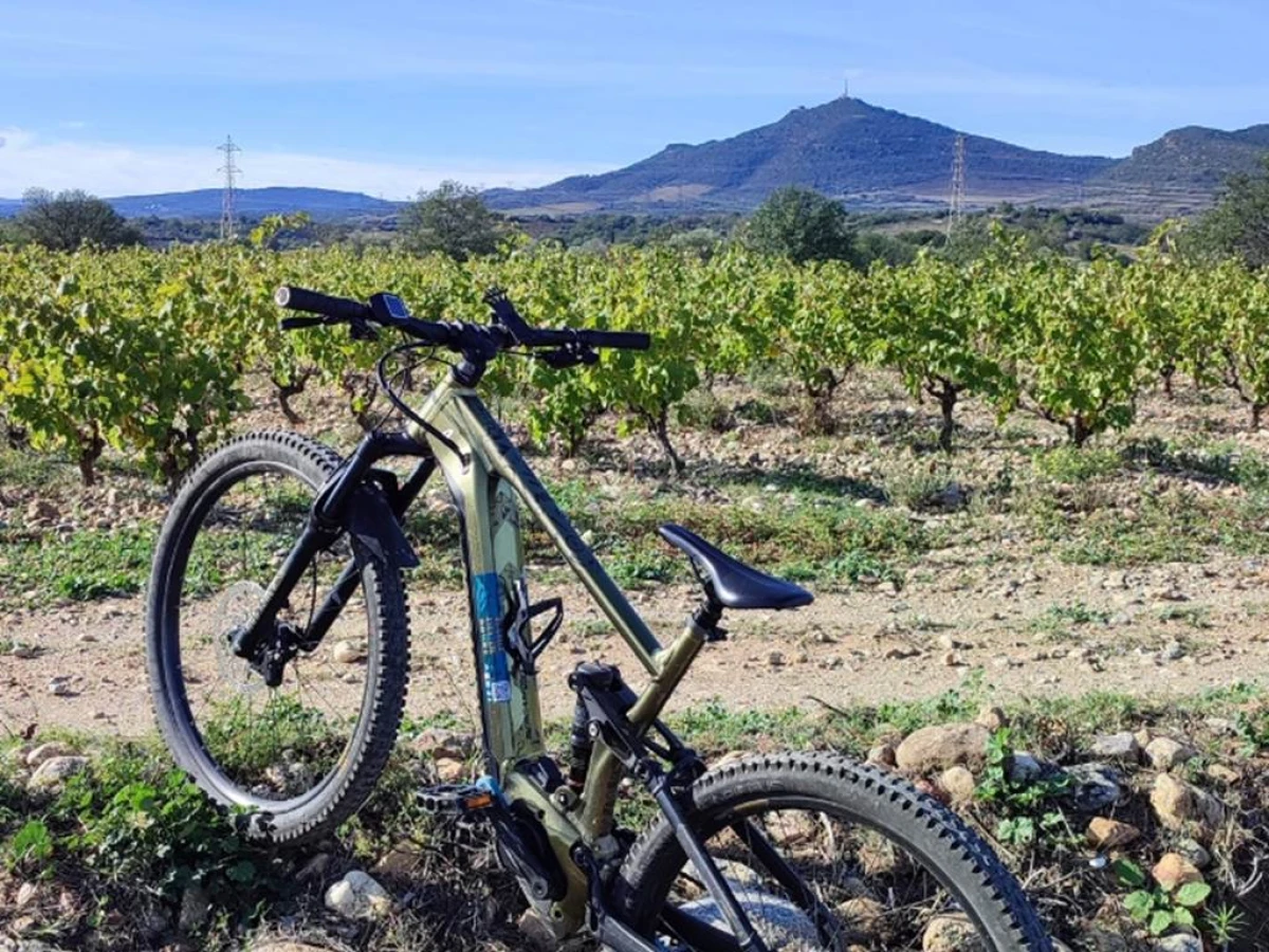 E-mountain bike circuit at Força Réal - Perpignan Expériences