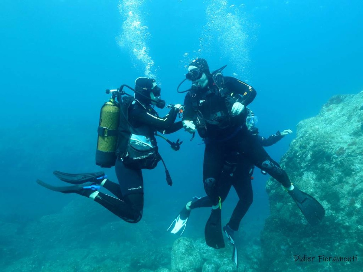  - Perpignan Expériences