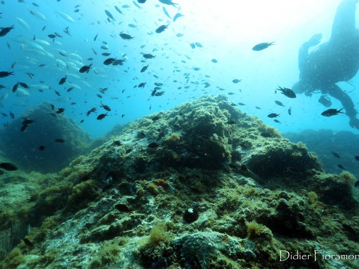  - Perpignan Expériences