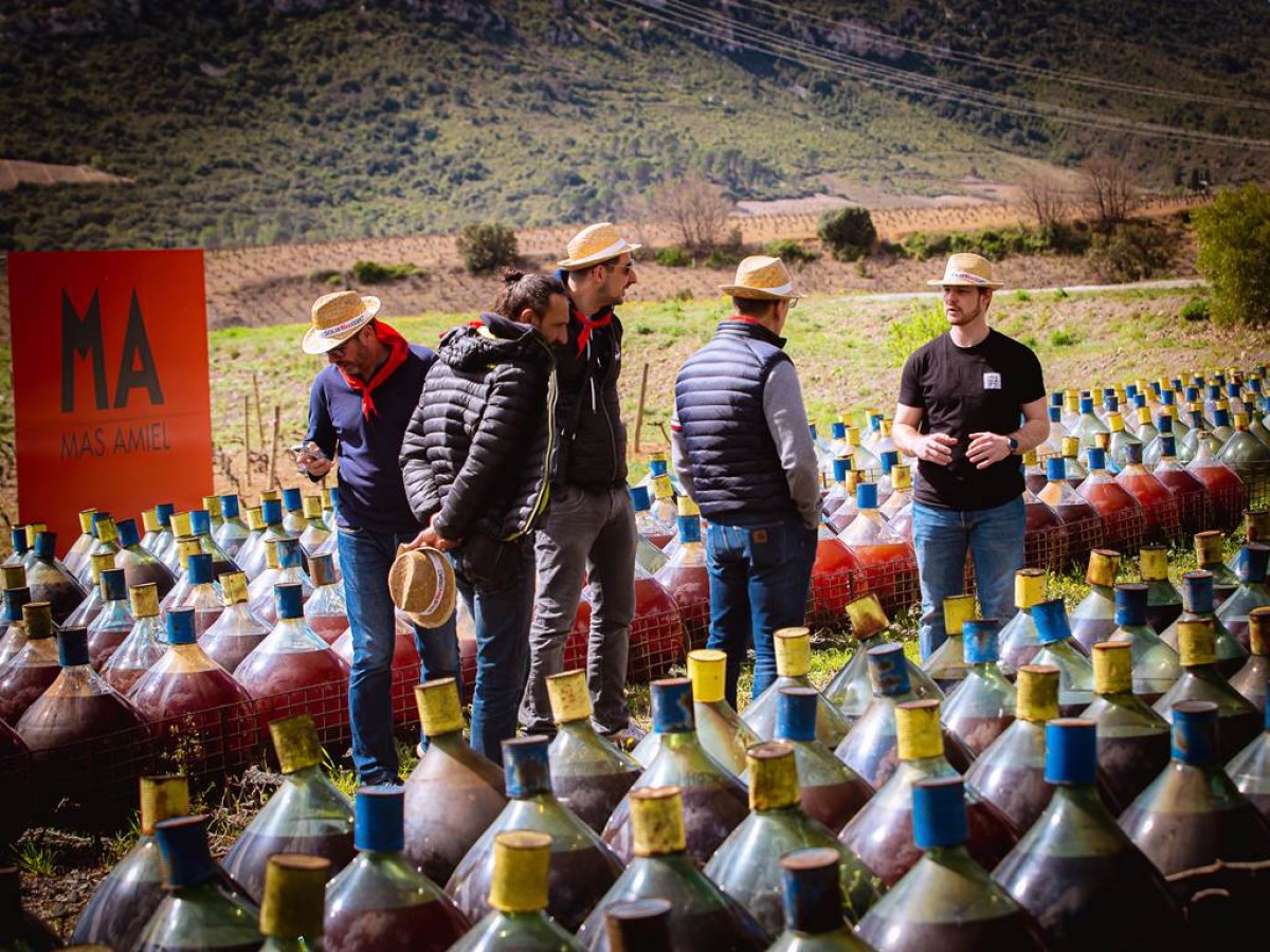  - Perpignan Expériences