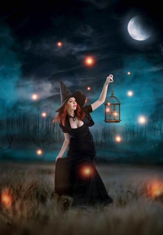 La médiévale Public - Perpignan Expériences