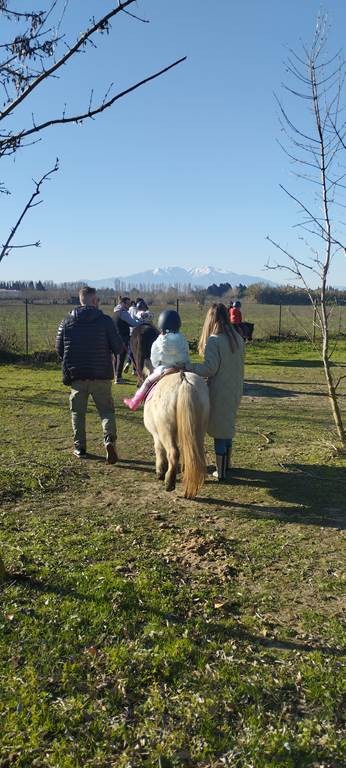  - Perpignan Expériences