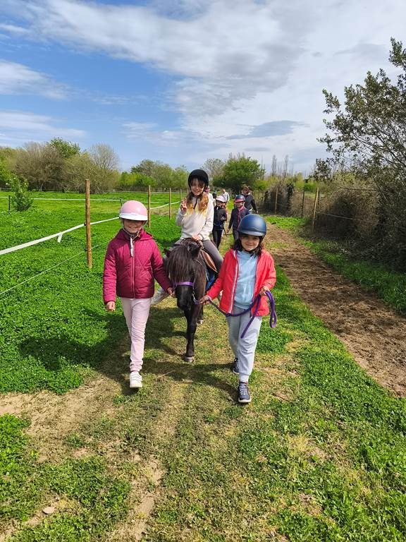  - Perpignan Expériences