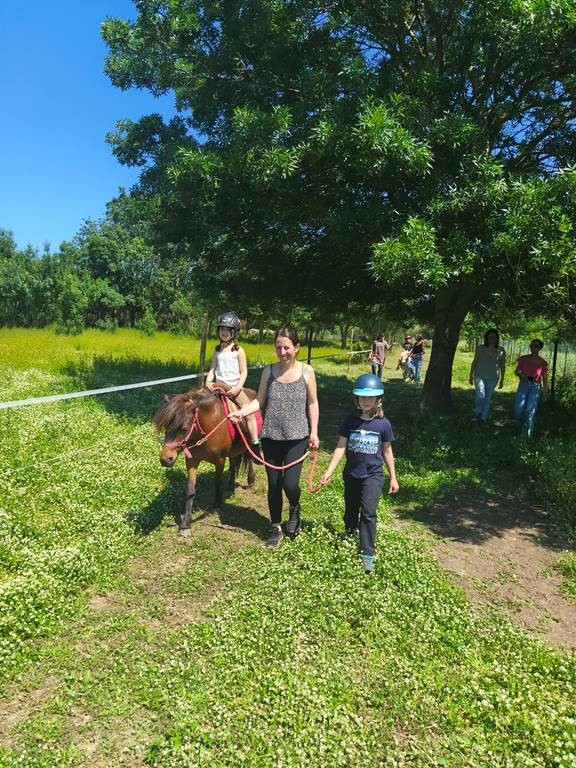  - Perpignan Expériences