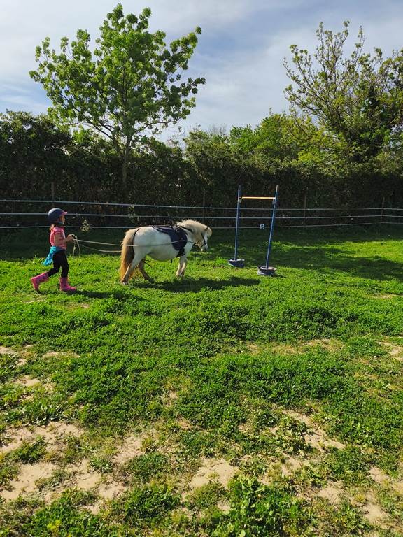  - Perpignan Expériences