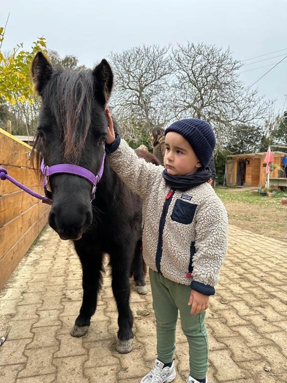  - Perpignan Expériences