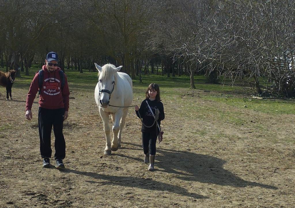  - Perpignan Expériences