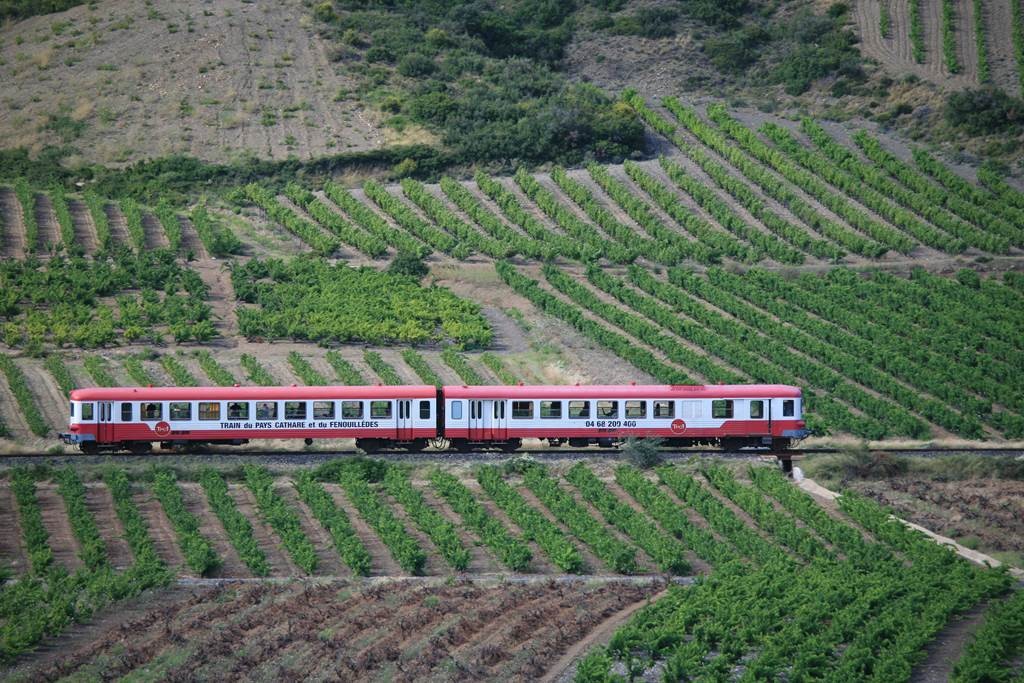 Le Train Rouge  - Perpignan Expériences