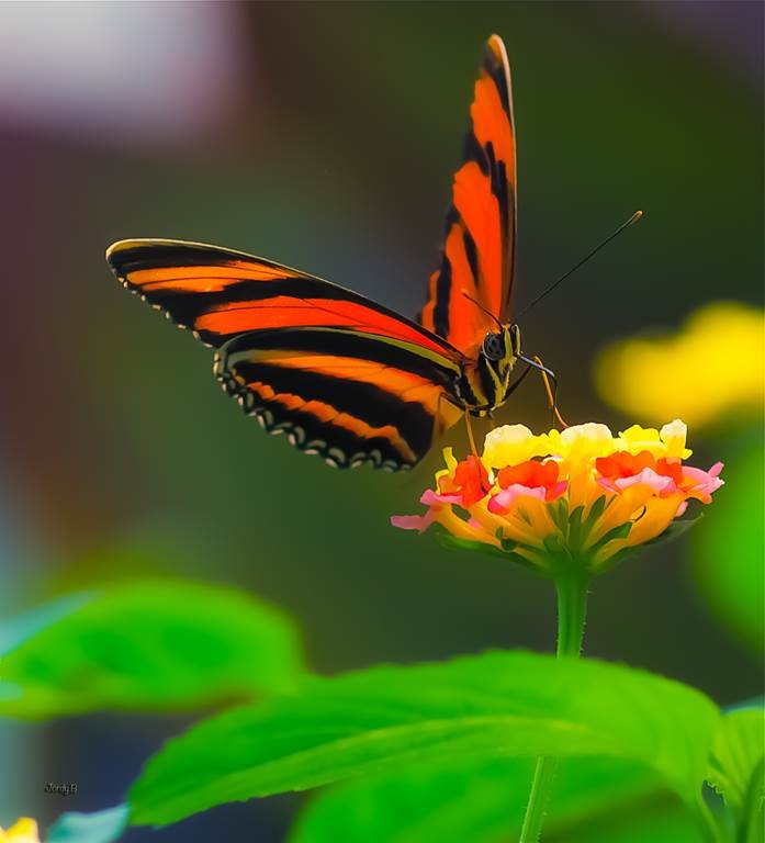 2 Billets "Entrée Adulte" - Perpignan Expériences