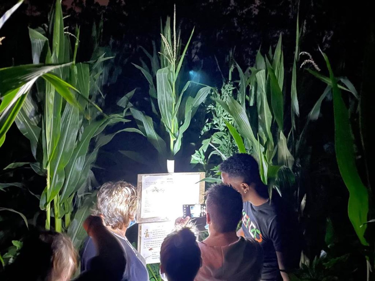  - Perpignan Expériences