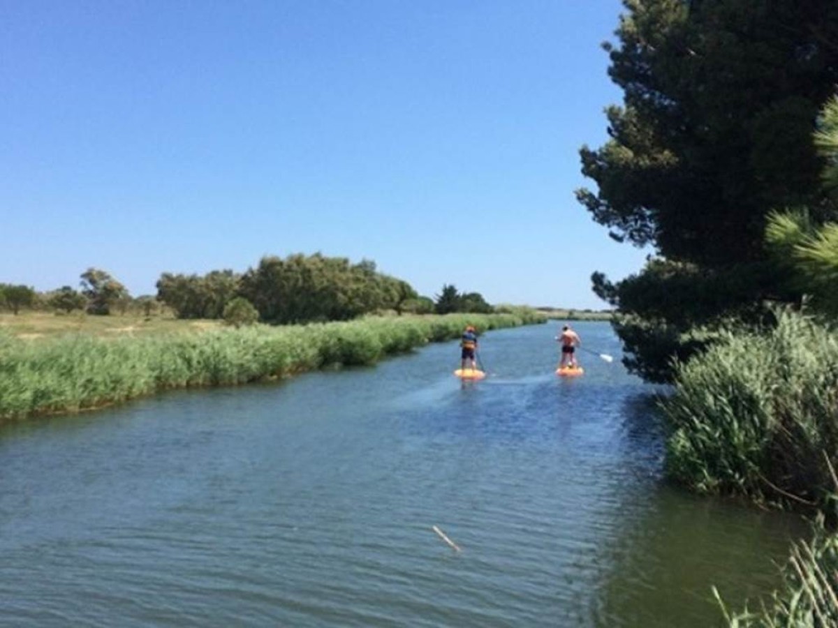  - Perpignan Expériences