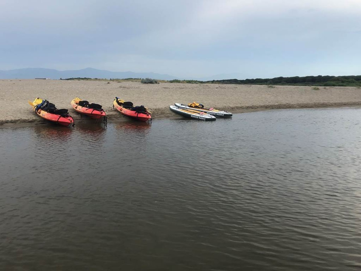  - Perpignan Expériences