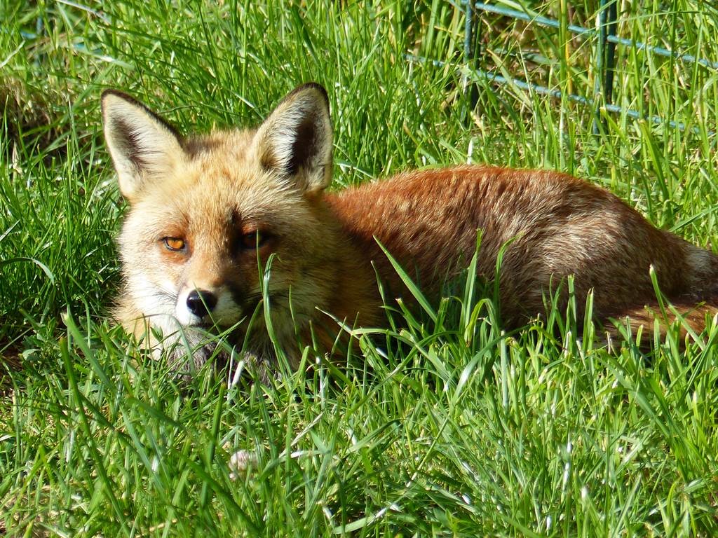 Ticket 1 jour - Perpignan Expériences