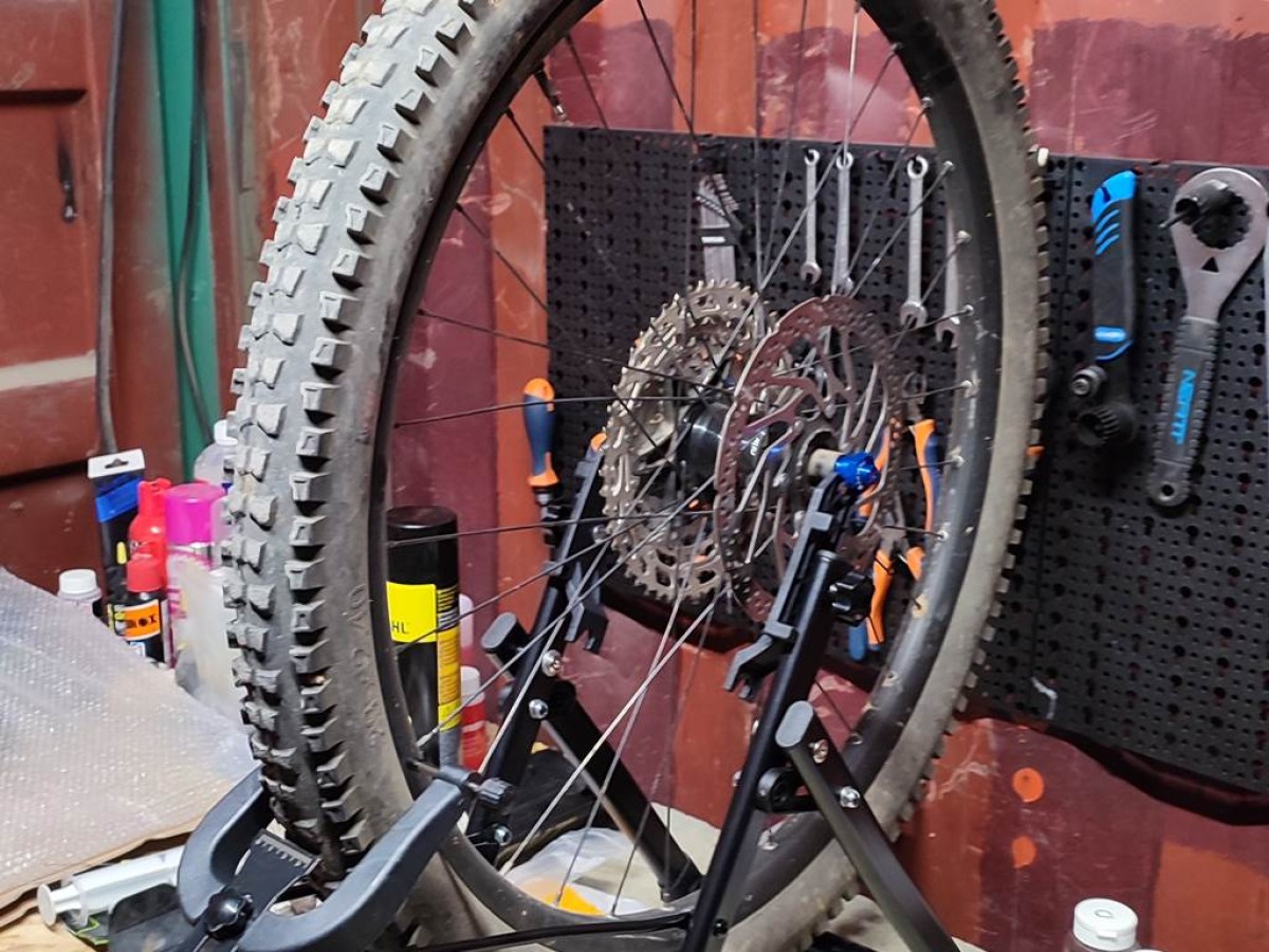 Free Estimate Appointment – Bike Repair & Maintenance Workshop - Perpignan Expériences