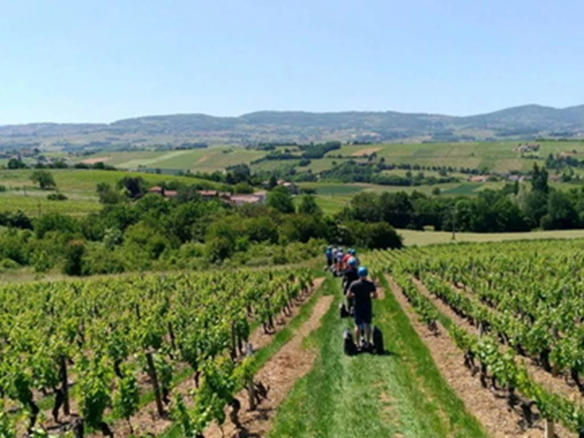 Sortie Oenologie à travers les vignes en gyropode - Perpignan Expériences