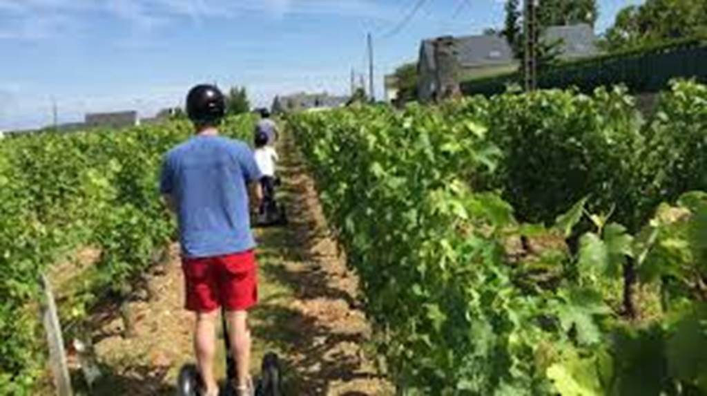 Sortie Oenologie à travers les vignes en gyropode - Perpignan Expériences