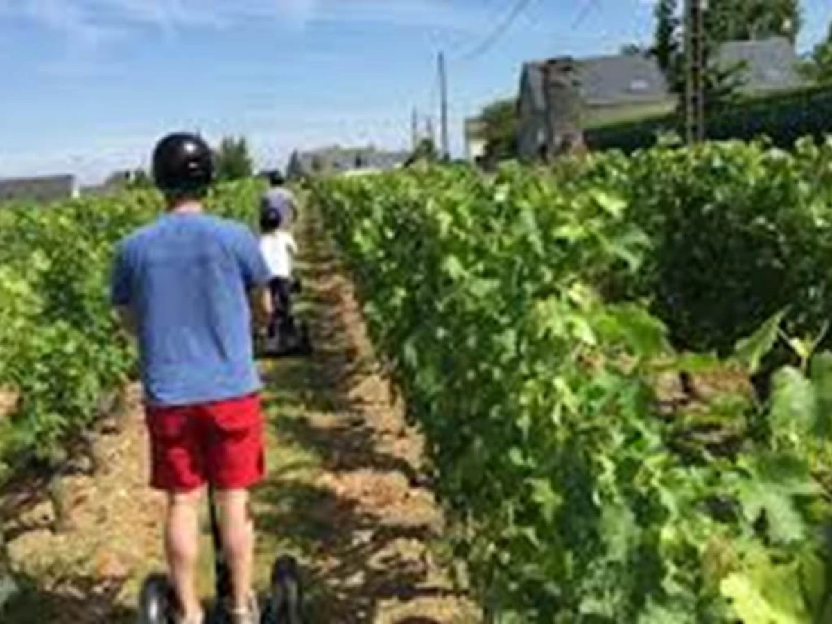 Sortie Oenologie à travers les vignes en gyropode - Perpignan Expériences