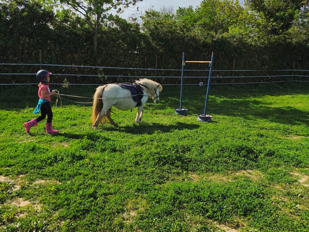  - Perpignan Expériences